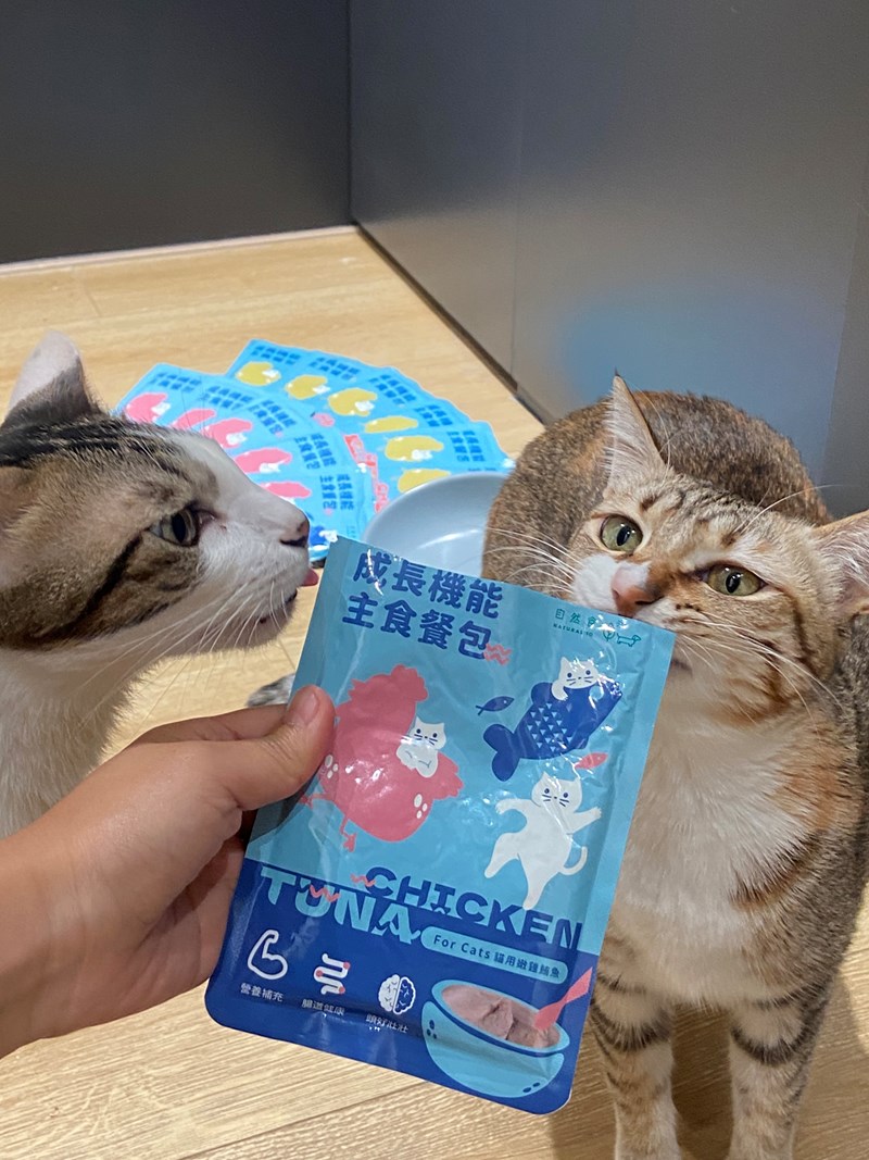 試用